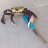 Knife-wielding Crab