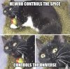 2018-01-08_the-spice-must-flow.jpg