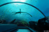 the_aquarium__2_by_karkajou1993-d4sgqwl.png