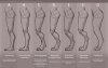 1386368409.wolfy-nail_legs-refsheet-1280.jpg