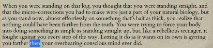 Zo-Equilibrium-two-than.png