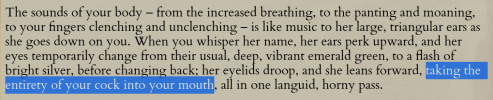 Zo-blowjob-logical-error.png
