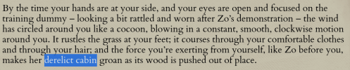 Zo-Excertion-three-continuity-error.png