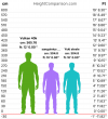 HeightComparison-chart (1).png