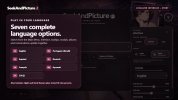 06-languages-themes.jpg