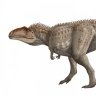 Sexual Giganotosaurus