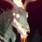 thehornedguy