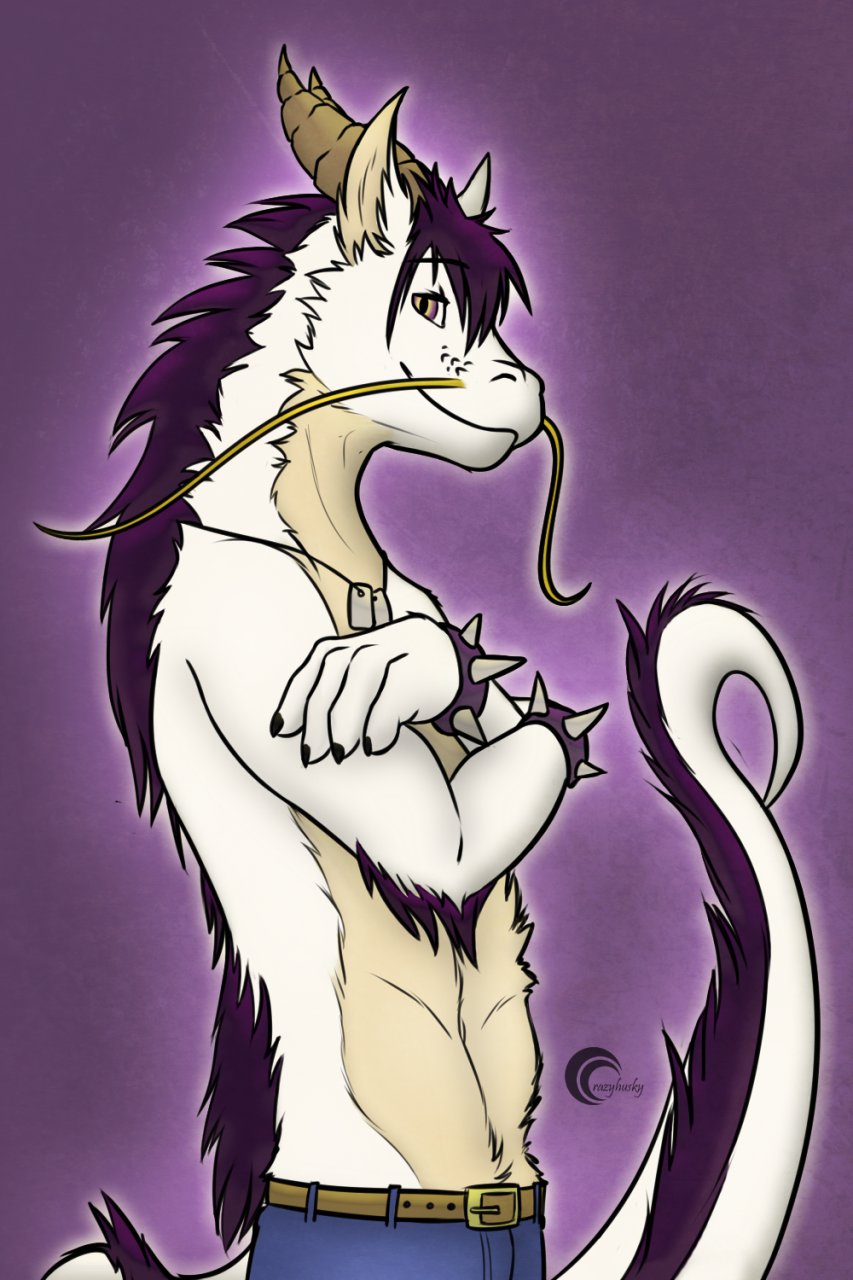 1334956768.crazy-husky_dragonfaustv3.png