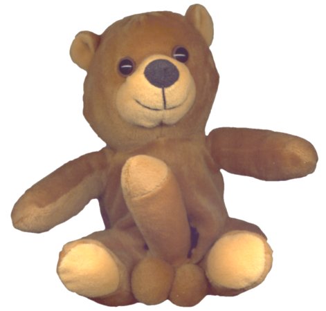 Throbbing-Teddy-748.jpg