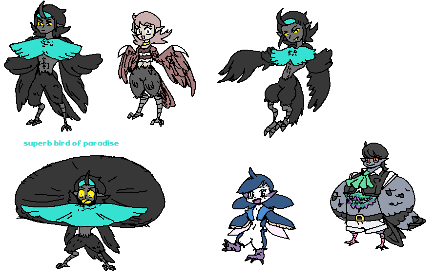 birds.png