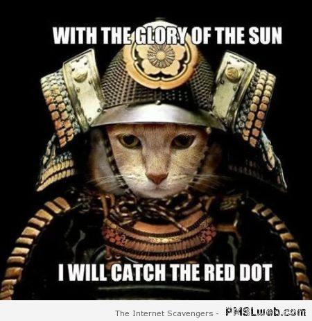 Samurai-cat-meme.jpg