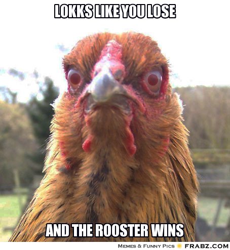 frabz-Lokks-like-you-lose-And-the-rooster-wins-4000e6.jpg