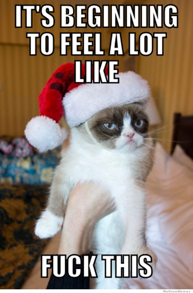 grumpy-cat-christmas-meme-2.jpg