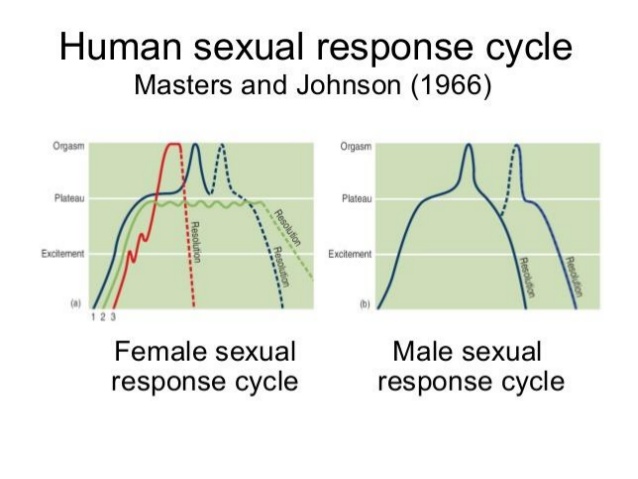 physiology-of-female-and-male-sexuality-61-638.jpg